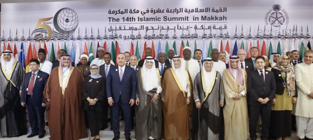 OIC Diplomacy During the Recent Israel-Palestine Crisis