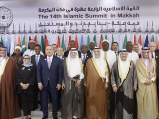 OIC Diplomacy During the Recent Israel-Palestine Crisis