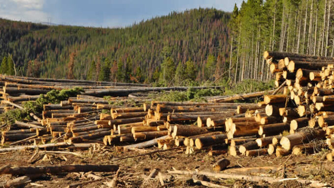Combating Deforestation for Climate Change Mitigation Combating Deforestation for Climate Change Mitigation