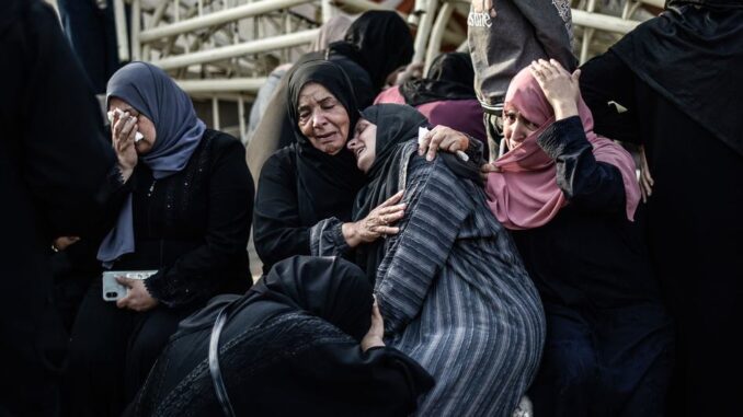 Between War and Survival: Women’s Lives in Gaza Between War and Survival: Women’s Lives in Gaza