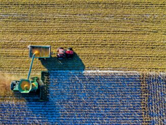 Food Insecurity and the Fragility of Global Supply Chains