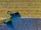 Food Insecurity and the Fragility of Global Supply Chains
