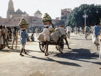 The Partition of Bengal: A Historical Reckoning of Division and its Human Cost