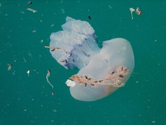 Exercise Barracuda and Pakistan’s Readiness for Marine Pollution