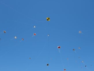 Kites of Hope Amid Shadows of Sorrow