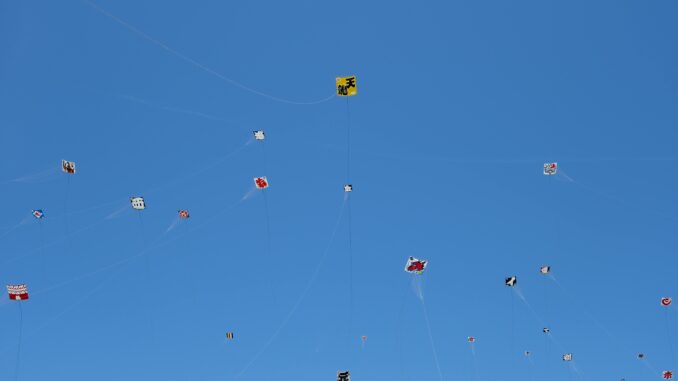 Kites of Hope Amid Shadows of Sorrow